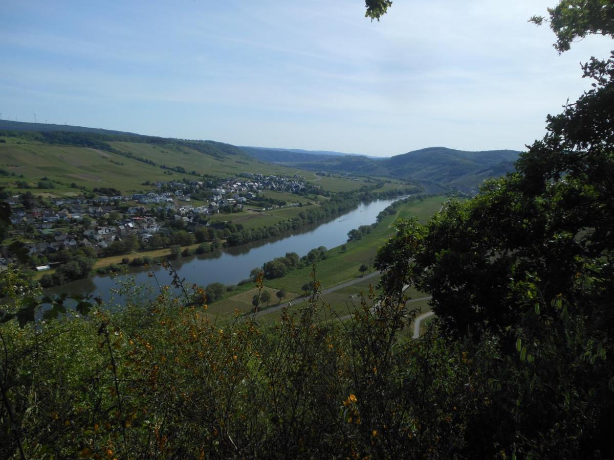 Ferienhaus Mosel Villa Brauneberg Esterno foto