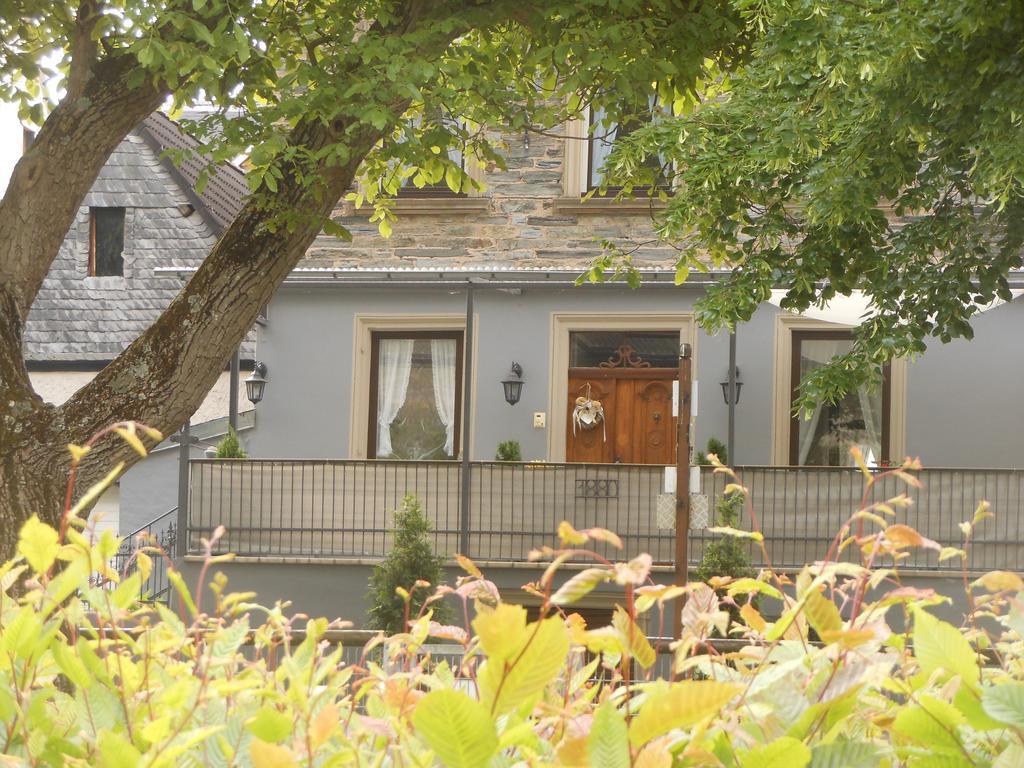 Ferienhaus Mosel Villa Brauneberg Esterno foto