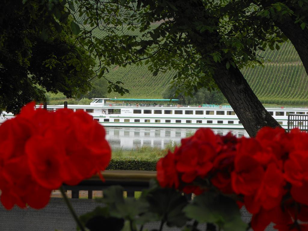 Ferienhaus Mosel Villa Brauneberg Esterno foto